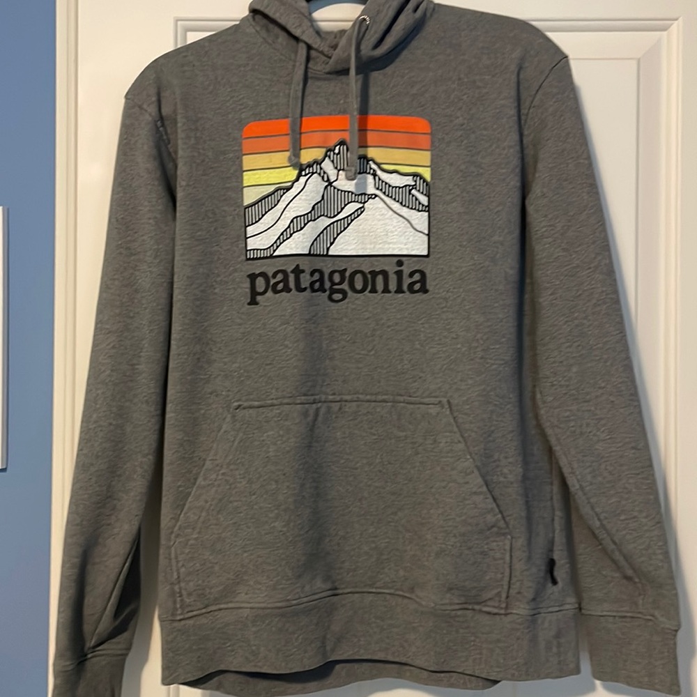 Patagonia mountains hoodie